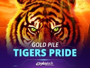 Gold Pile Tigers Pride game cover